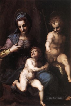 聖母子と若き聖ヨハネ ルネッサンスのマニエリスム アンドレア デル サルト Oil Paintings